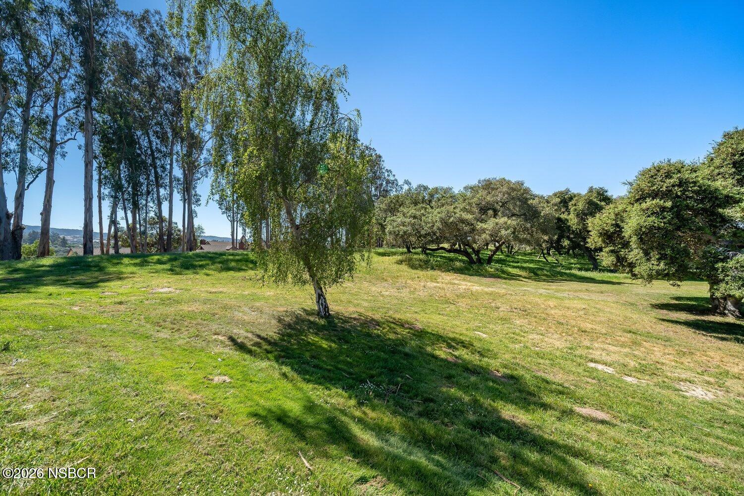 1496 Oakridge Park Road Santa Maria, CA 93455 - Photo 16 of 62 a view of a yard with a tree