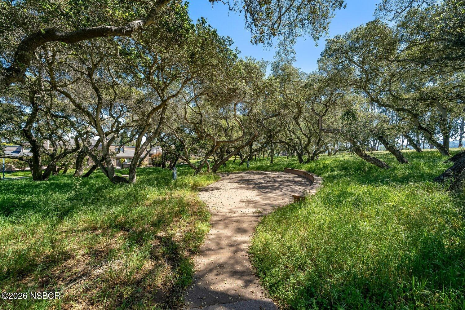 1496 Oakridge Park Road Santa Maria, CA 93455 - Photo 56 of 62 a view of a yard with plants and trees