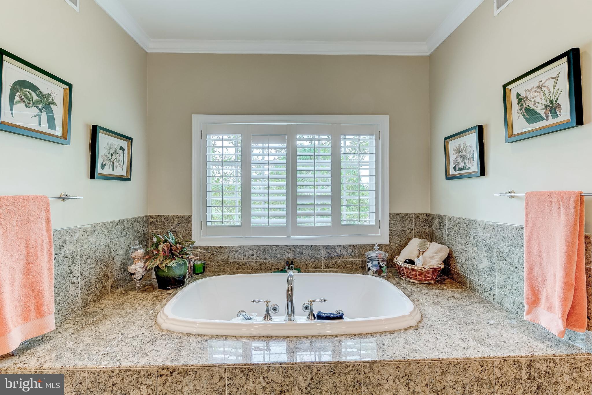 13939 Mantua Mill Road Glyndon, MD 21136 - Photo 24 of 52 luxuriate