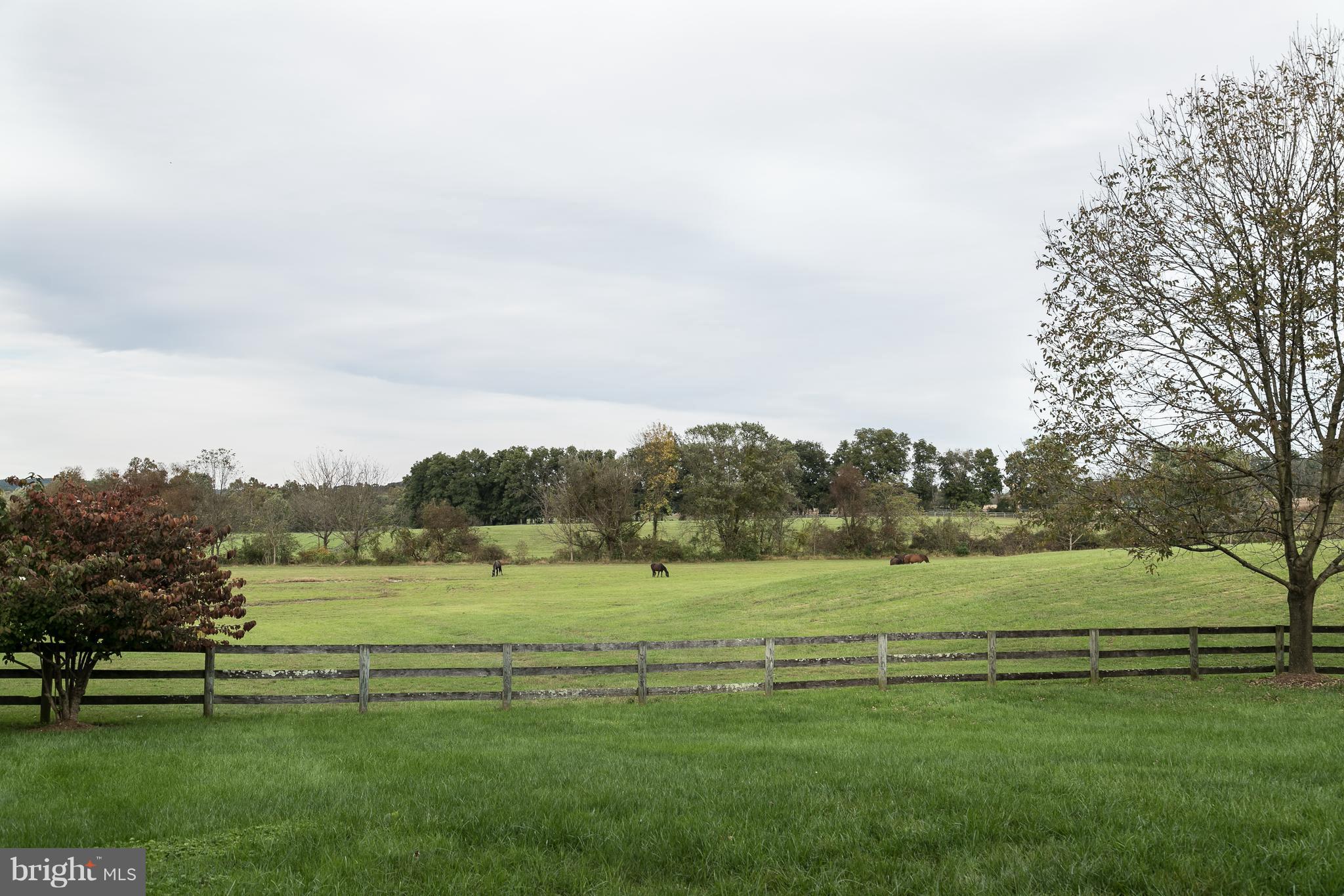 13939 Mantua Mill Road Glyndon, MD 21136 - Photo 34 of 52