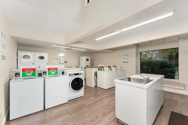 a view of backyard with tree