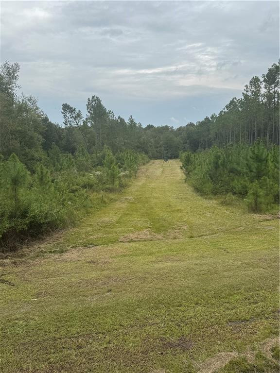 1603 Dl Durrence Road Reidsville, GA 30453 - Photo 15 of 31 Photo 15