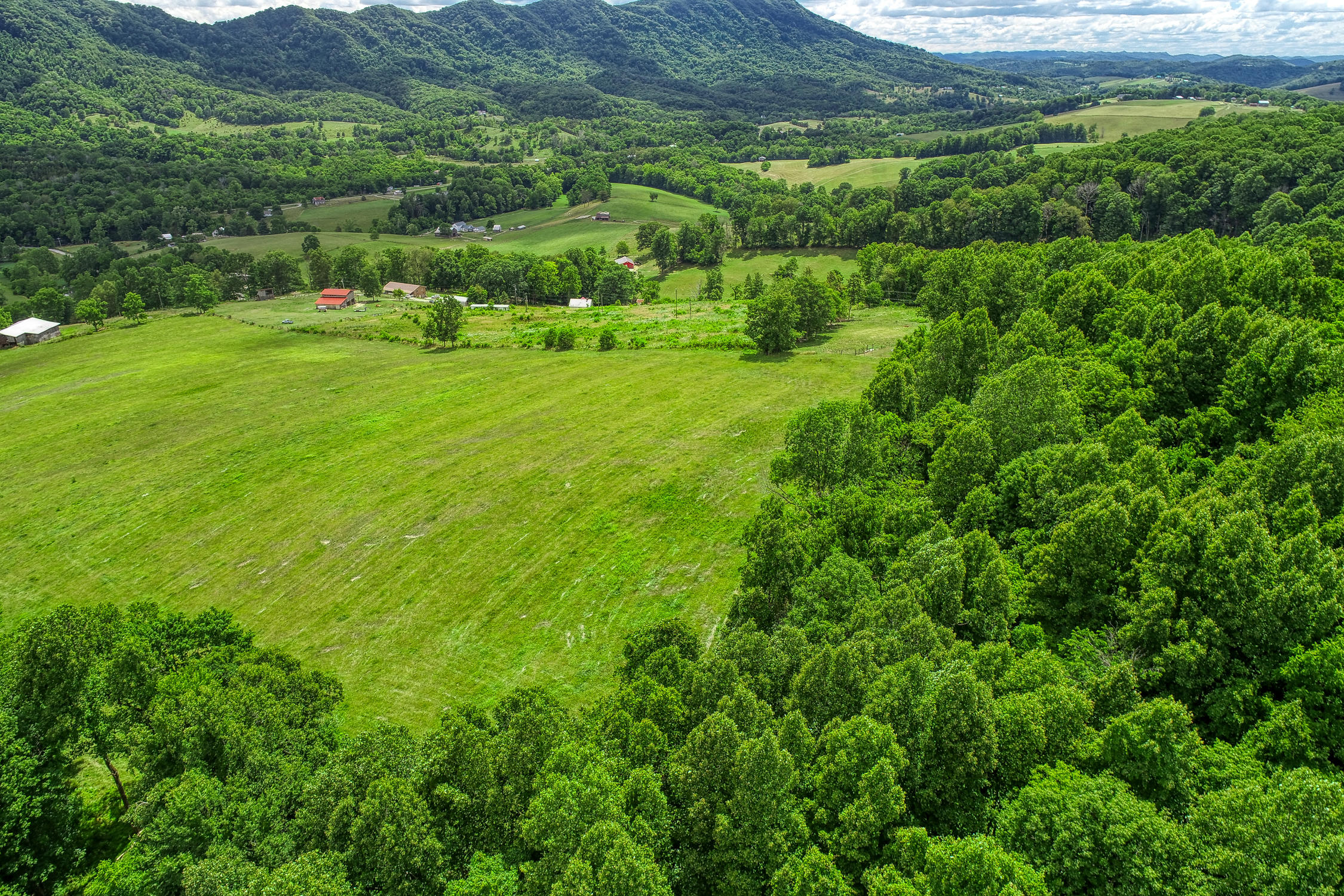 855 Gate Road Nickelsville, VA 24271 - Photo 4 of 16 855 Gate Rd