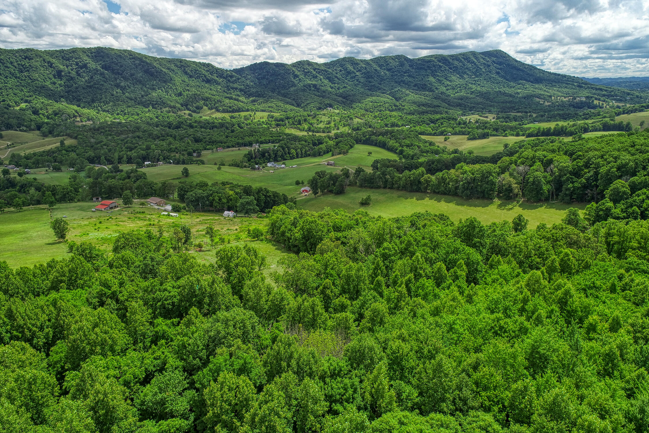 855 Gate Road Nickelsville, VA 24271 - Photo 6 of 16 855 Gate Rd