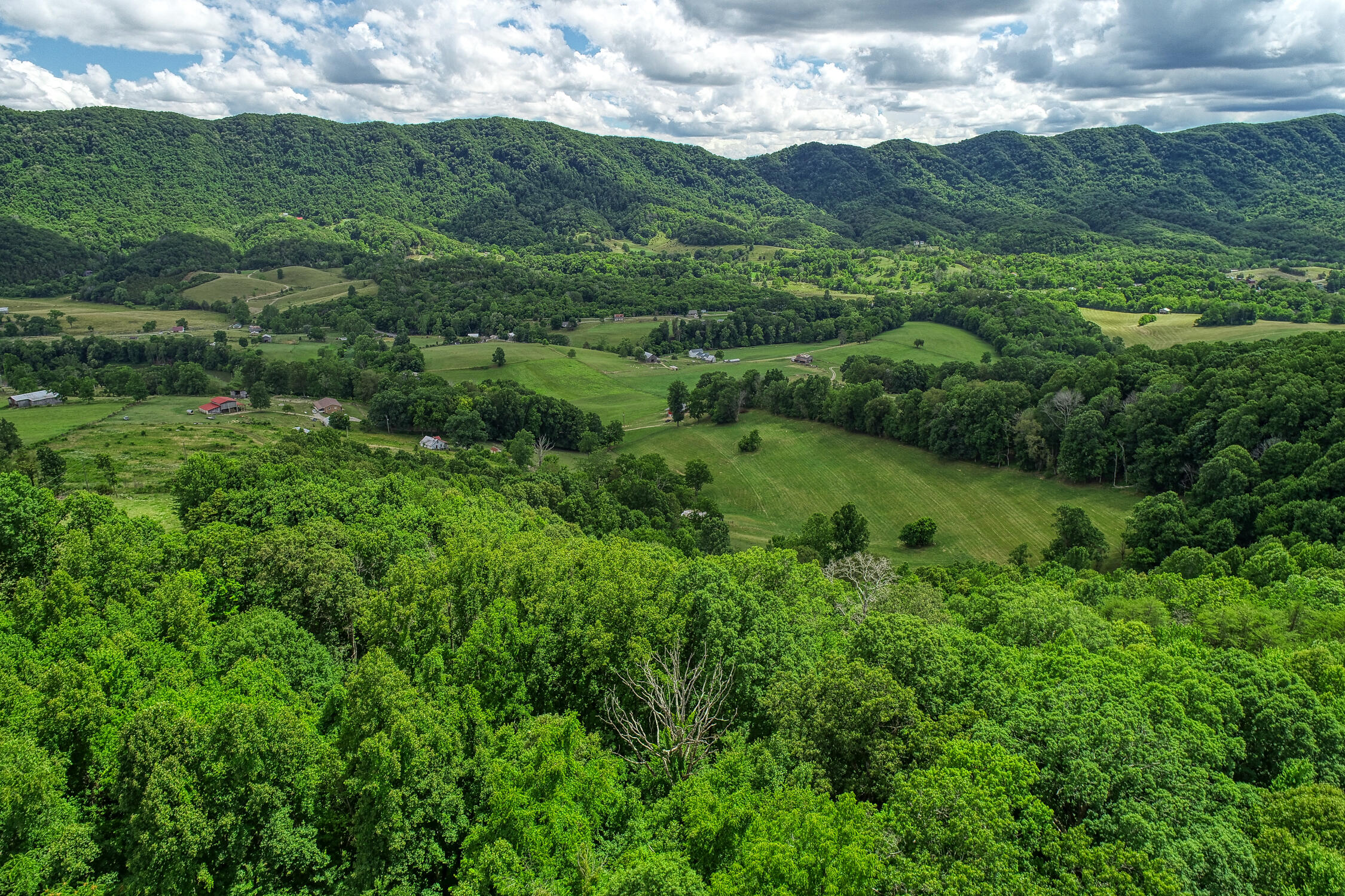 855 Gate Road Nickelsville, VA 24271 - Photo 7 of 16 855 Gate Rd