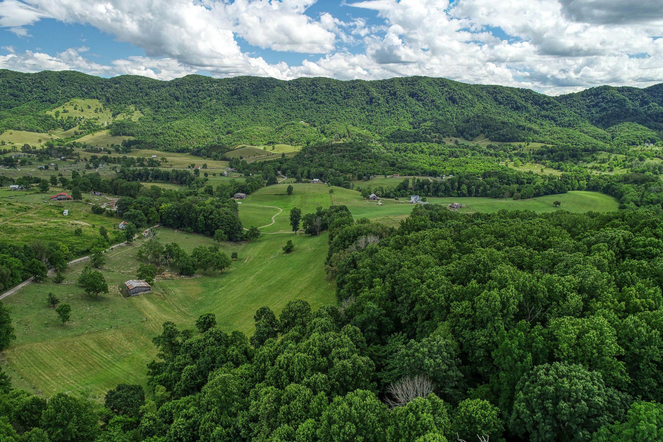 855 Gate Road Nickelsville, VA 24271 - Photo 8 of 16 855 Gate Rd