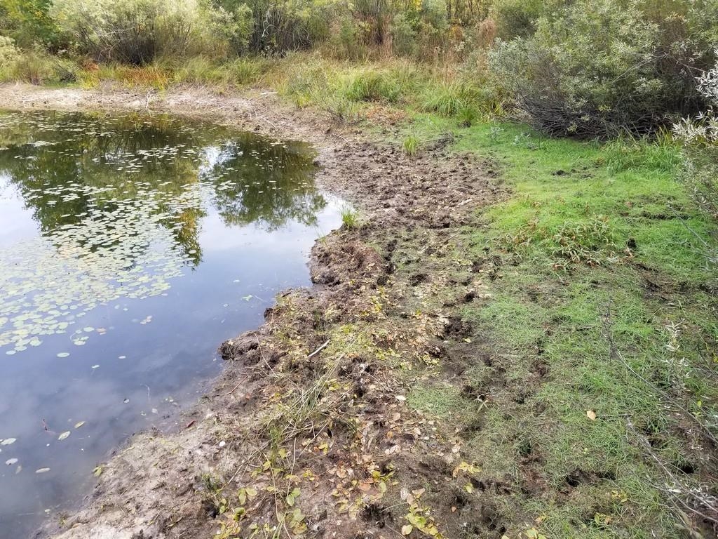 2089 Sigma Road Southeast Kalkaska, MI 49646 - Photo 14 of 57 1905734-13.JPG