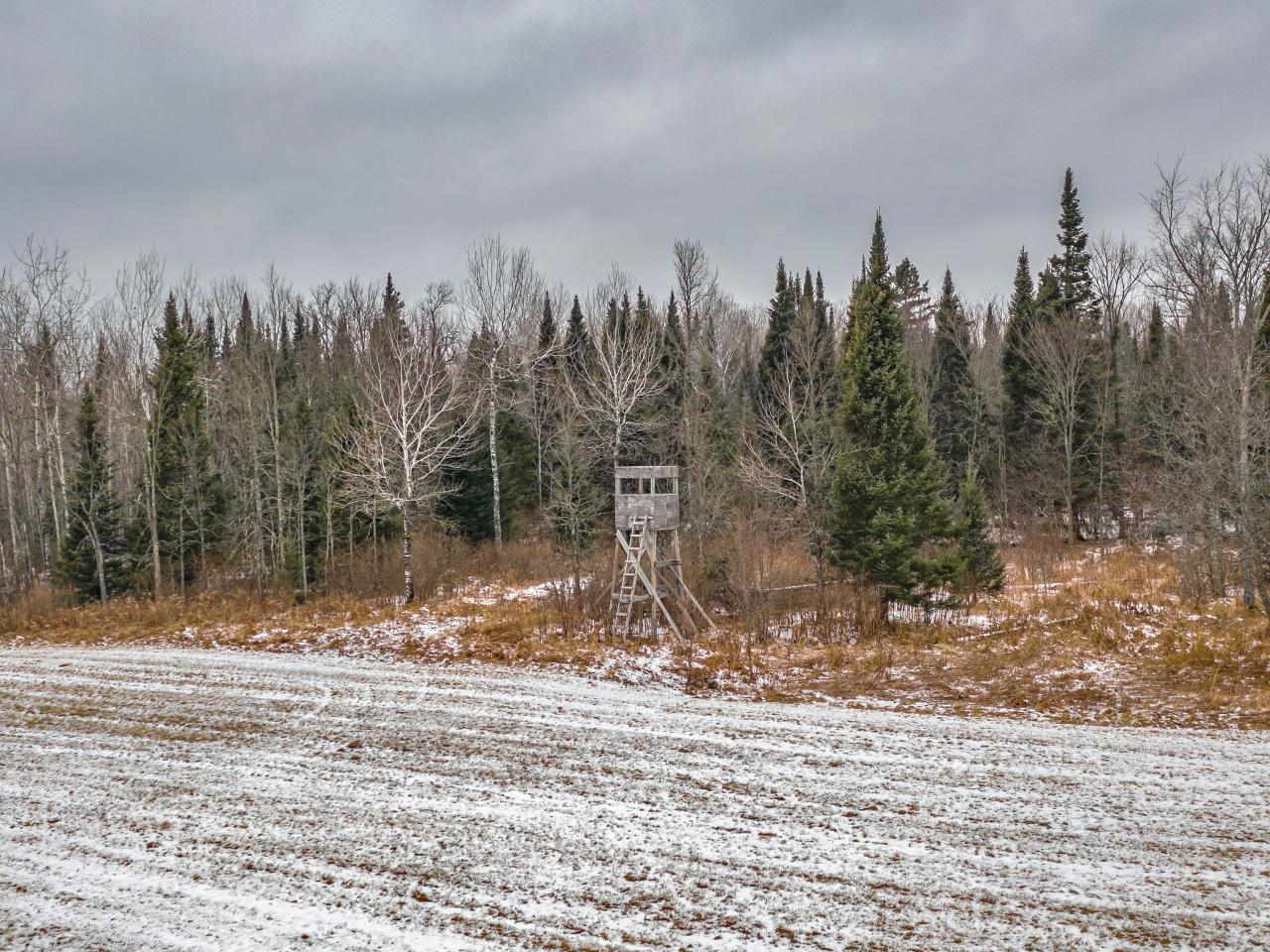 Off West Road Butternut, WI 54514 - Photo 9 of 21 Gallery Image 9