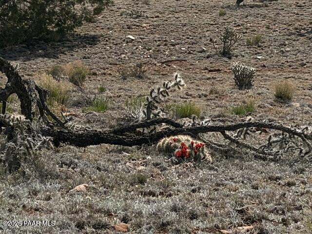 363- Via Dolorosa Road Seligman, AZ 86337 - Photo 9 of 10 IMG_1084