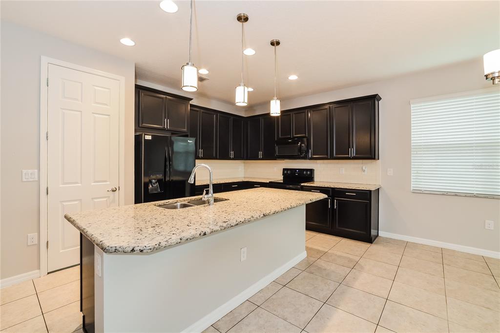 1178 Merion Drive Mount Dora, FL 32757 - Photo 4 of 15