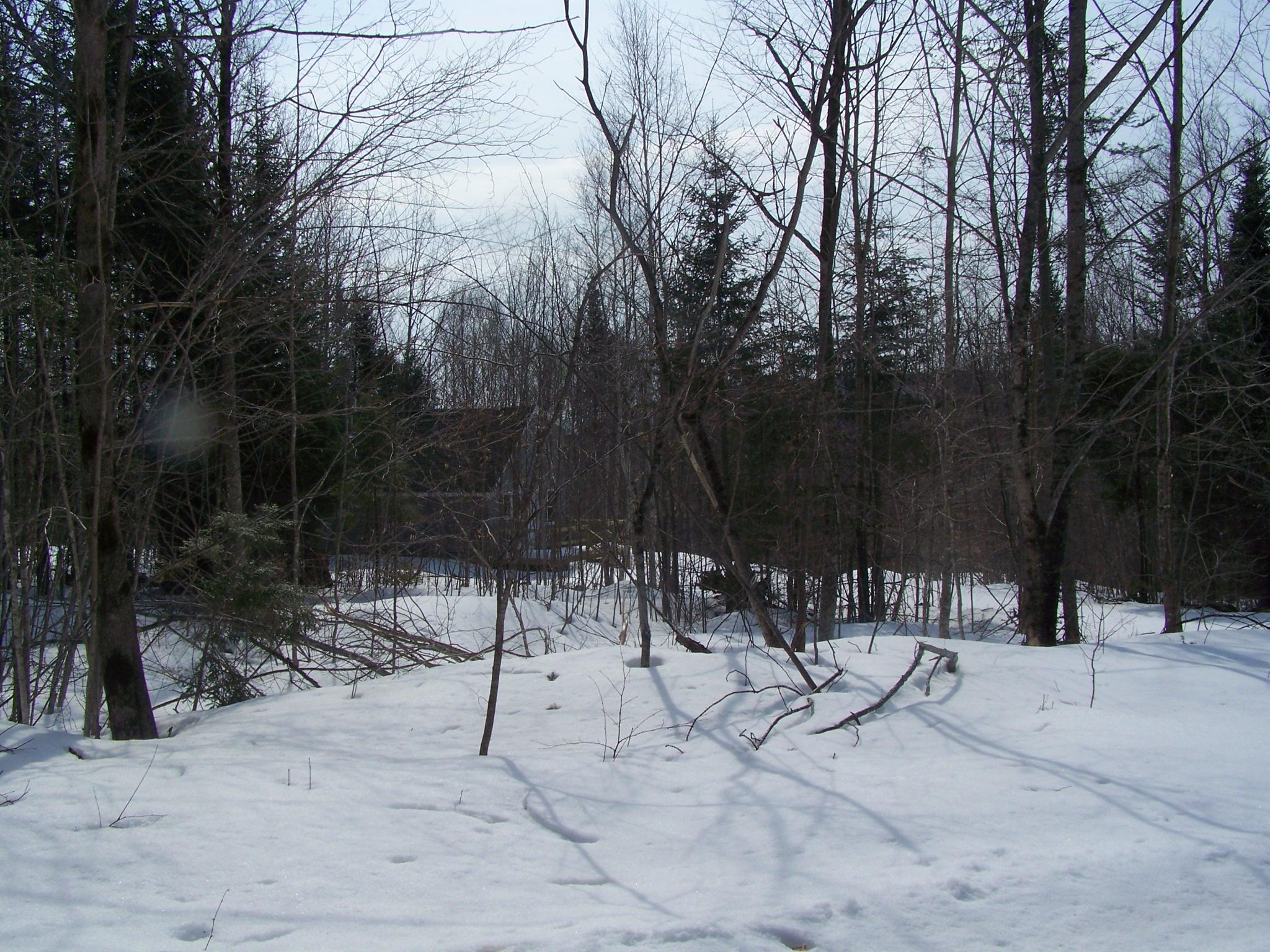 Tbd Dill Valley Road Lakeville, ME 04487 - Photo 4 of 23 100_6672
