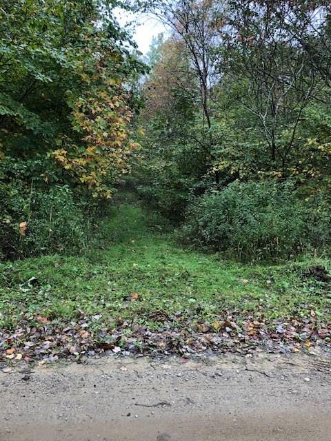 291 Falls Road Cochranton, PA 16314 - Photo 2 of 3