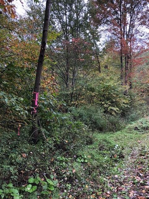 291 Falls Road Cochranton, PA 16314 - Photo 3 of 3