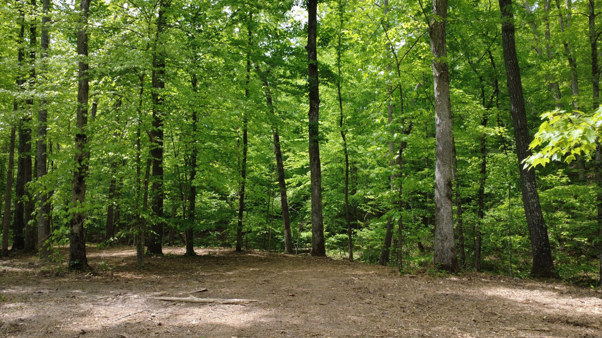 7948 Daugherty-Capley Road Primm Springs, TN 38476 - Photo 84 of 86