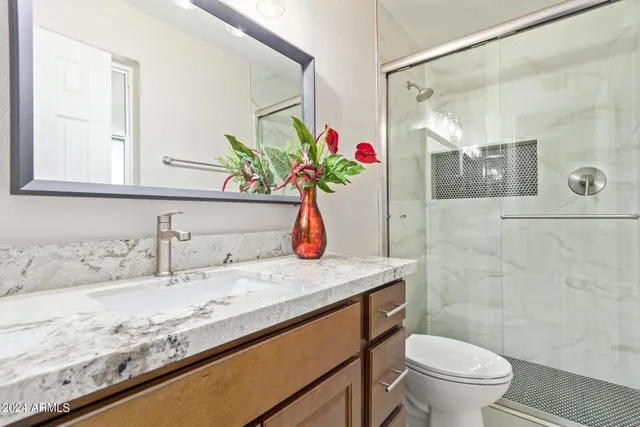 a bathroom with a sink a toilet and shower