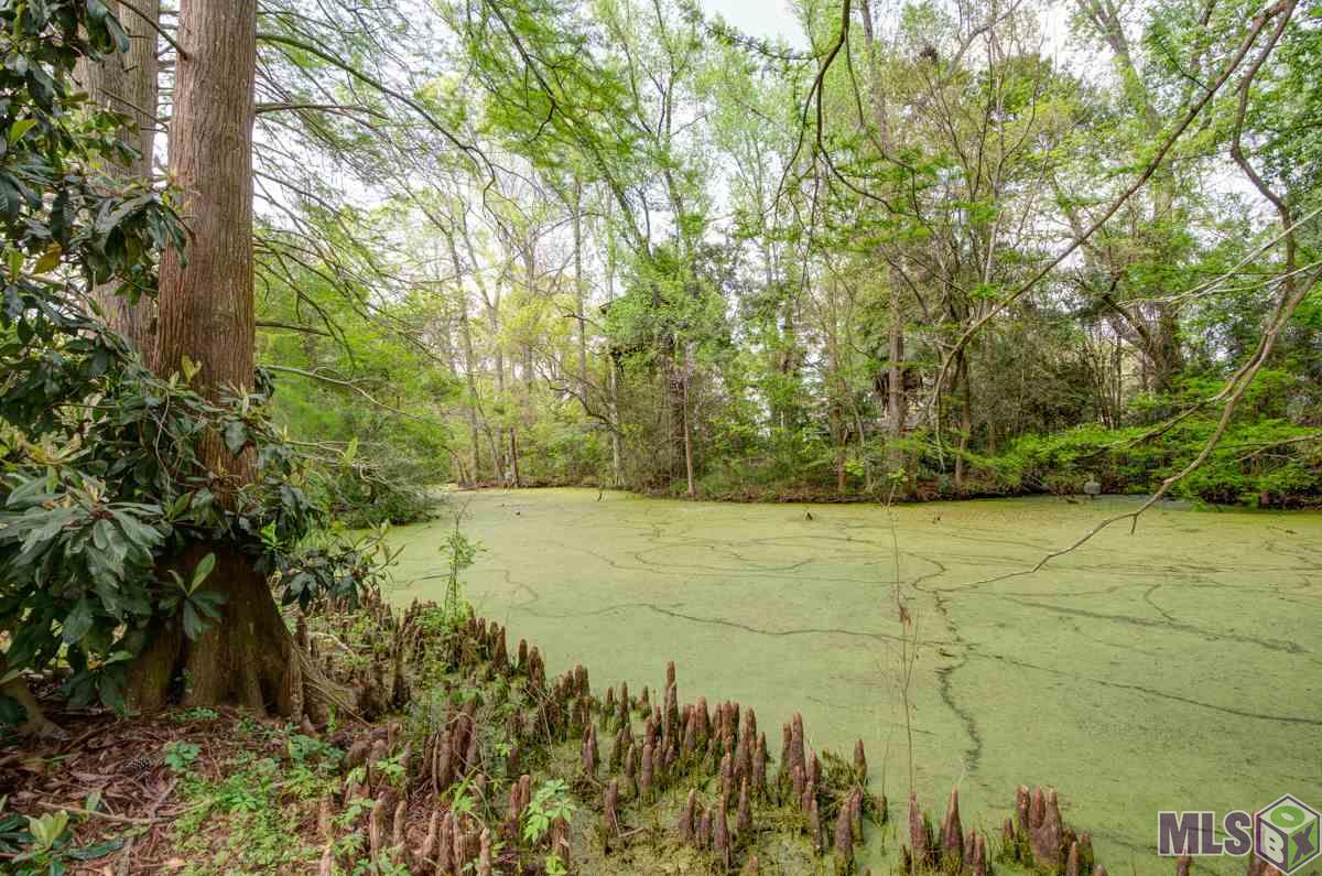 1222 Stuart Avenue Baton Rouge, LA 70808 - Photo 10 of 10 Gallery Image 10