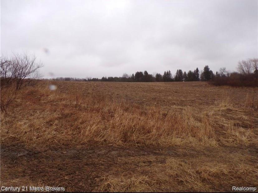 Parcel I Lyons Road Imlay City, MI 48444 - Photo 2 of 3