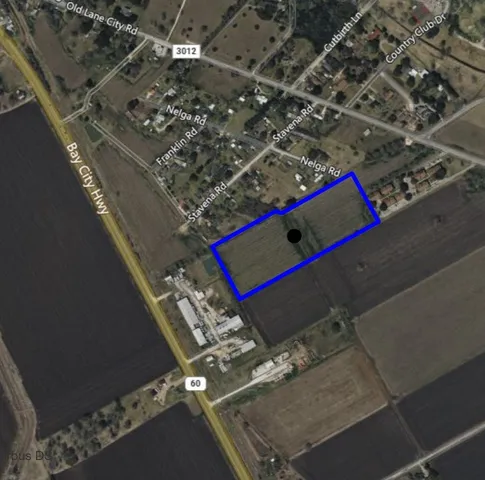 a view of a big room with a big yard and potted plants