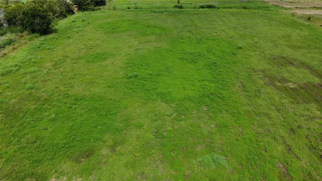 a view of a big yard
