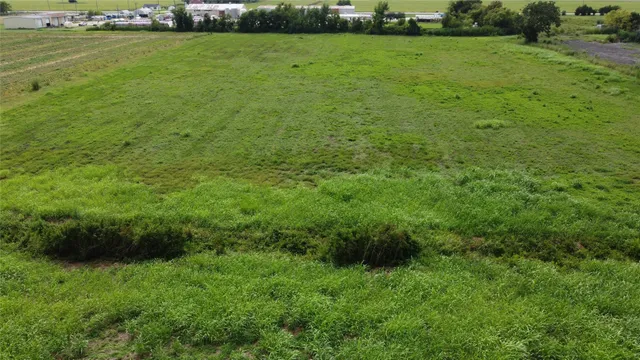 a view of a field of grass and trees