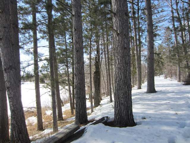 5575 Gade Road Mercer, WI 54547 - Photo 15 of 20 Gallery Image 15
