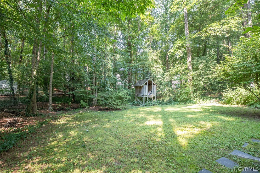 14608 Mill Spring Circle Midlothian, VA 23112 - Photo 23 of 23 Rear Yard