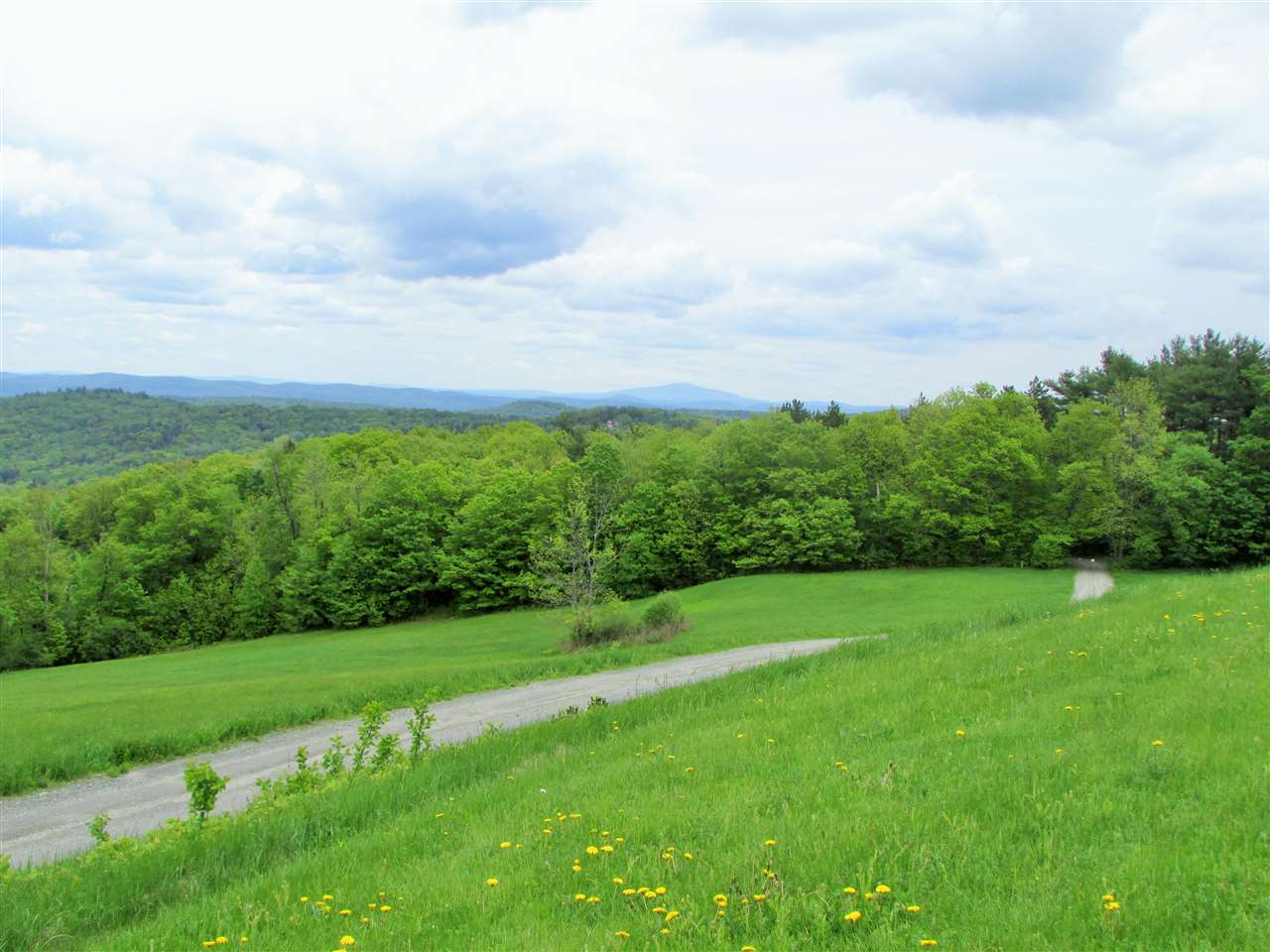 375 Serkin Road Guilford, VT 05301 - Photo 12 of 20