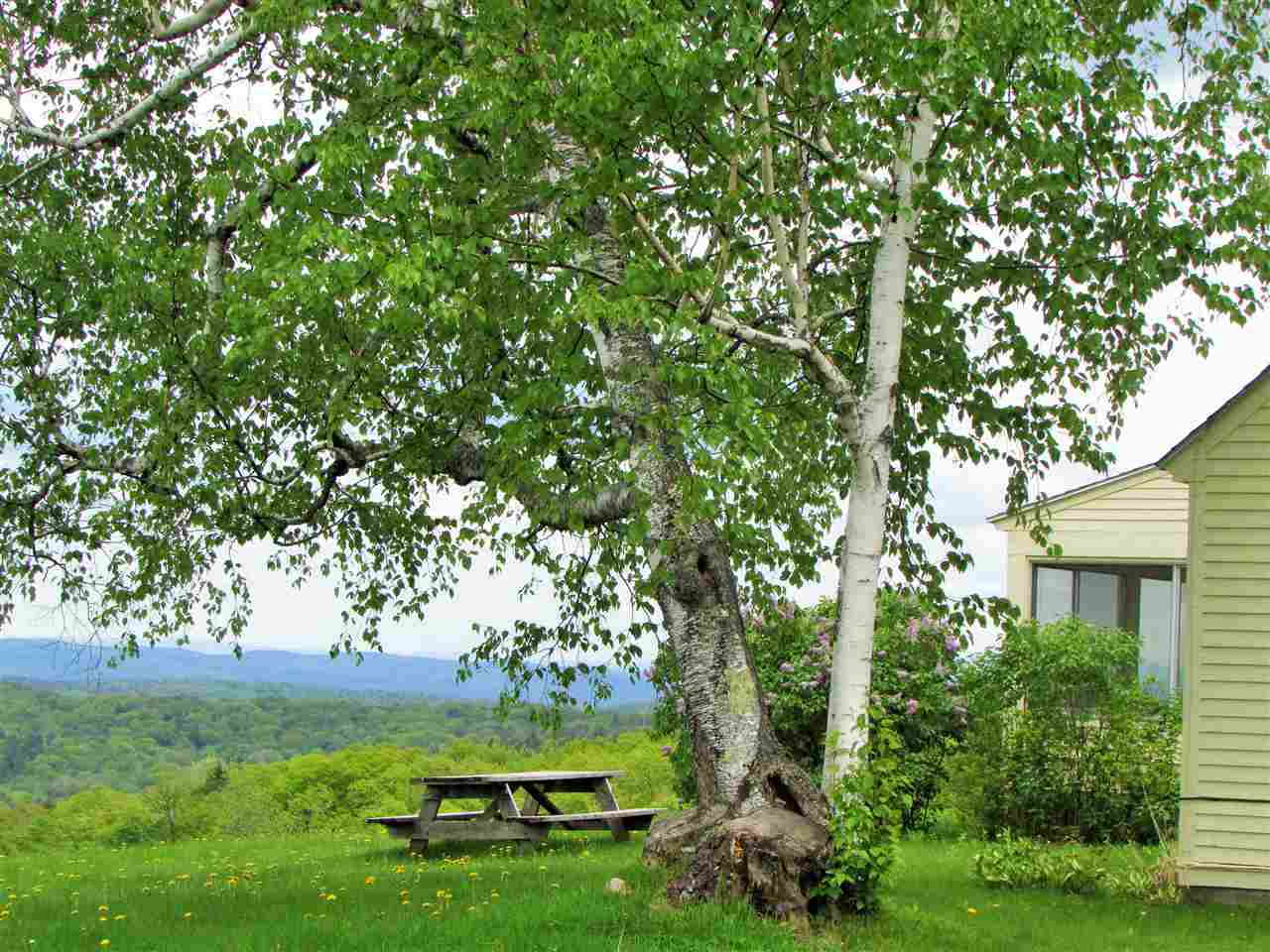375 Serkin Road Guilford, VT 05301 - Photo 14 of 20