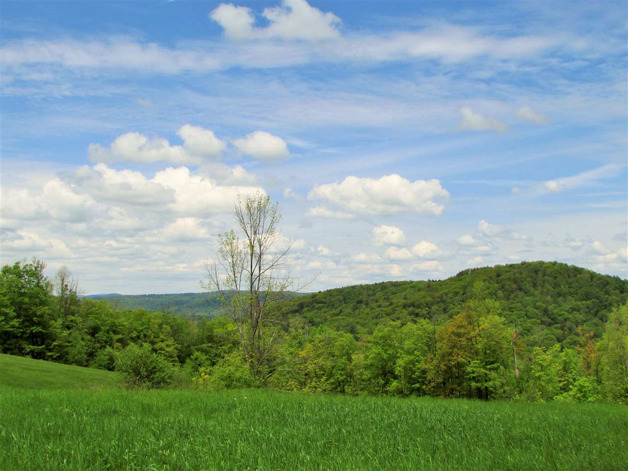 375 Serkin Road Guilford, VT 05301 - Photo 15 of 20
