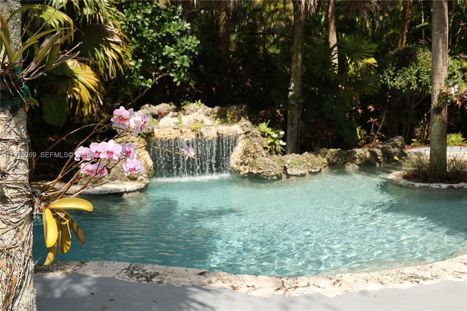 6065 Southwest 133rd Street Pinecrest, FL 33156 - Photo 24 of 41 a backyard of a house with lots of green space