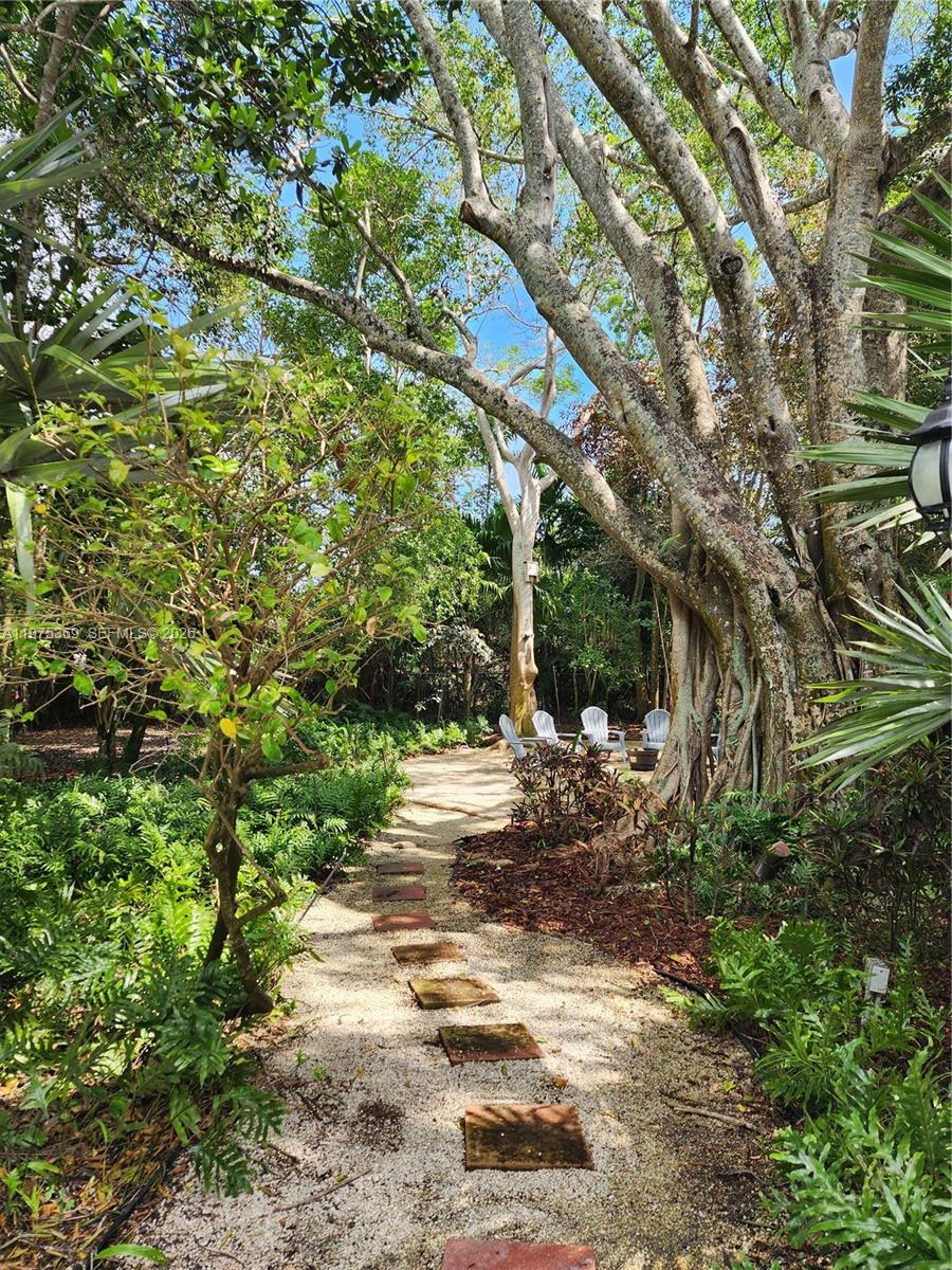 6065 Southwest 133rd Street Pinecrest, FL 33156 - Photo 27 of 41 a view of a yard with plants and trees