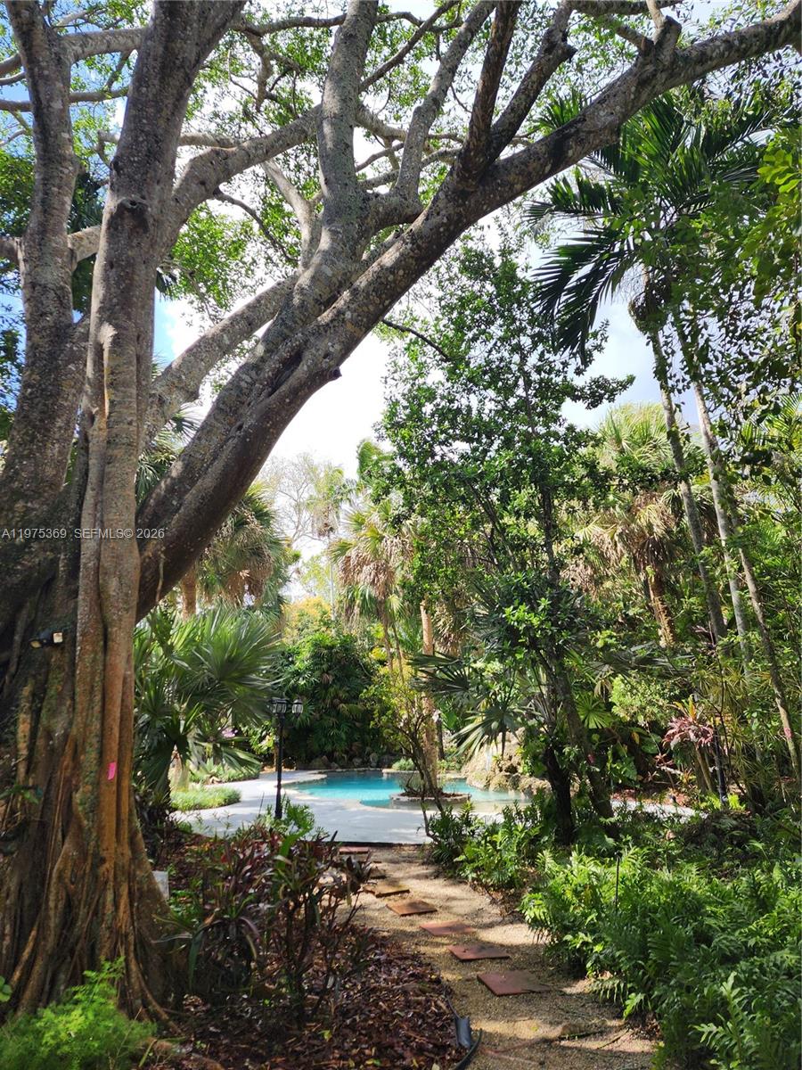 6065 Southwest 133rd Street Pinecrest, FL 33156 - Photo 28 of 41 a view of a yard with plants and a large trees