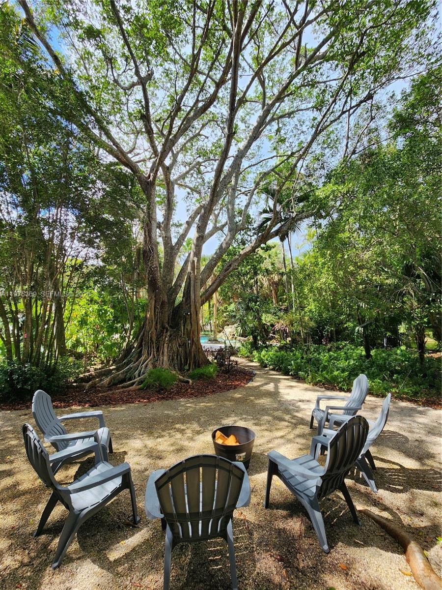 6065 Southwest 133rd Street Pinecrest, FL 33156 - Photo 30 of 41 a view of backyard with seating area and trees