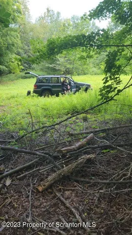a view of a street with a bench and trees