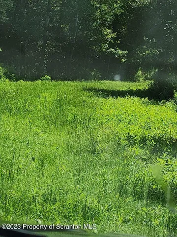 a view of dirt field with trees in the background