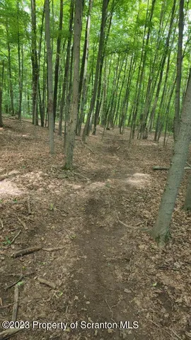 $833,800 | Oswald Johnson Clifford Twp Pa, Lenoxville, PA 18441