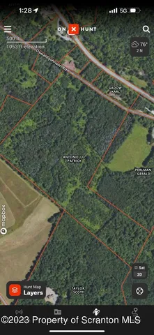 a view of a lush green forest