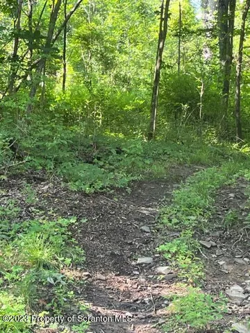 a view of a yard of a building