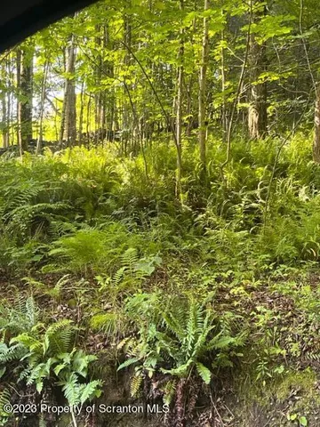 a backyard of a house with lots of green space and fountain
