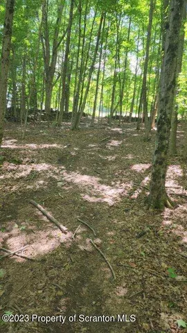 a view of outdoor space and deck
