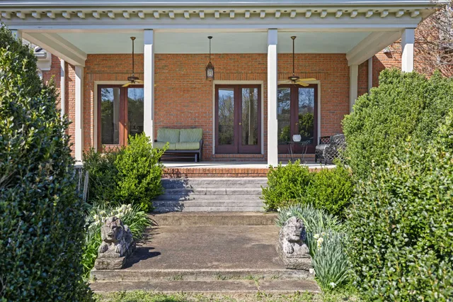 a view of a yard with a tree
