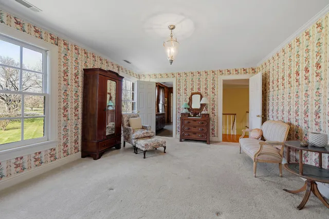 a view of a big yard with plants and large trees