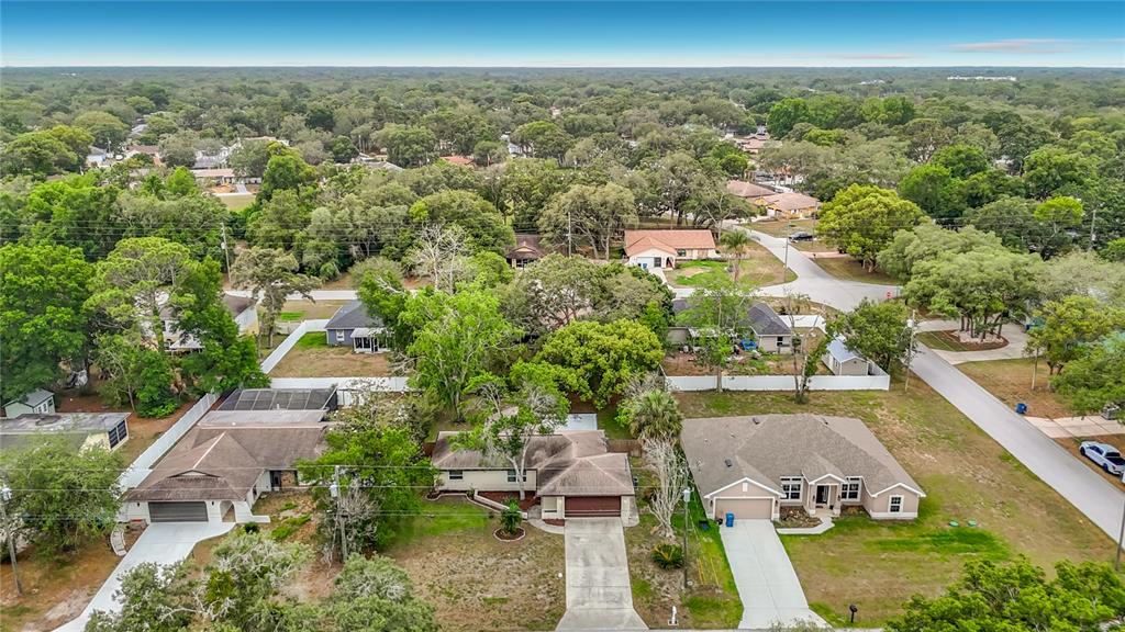 9020 Dorsey Street Spring Hill, FL 34608 - Photo 2 of 46