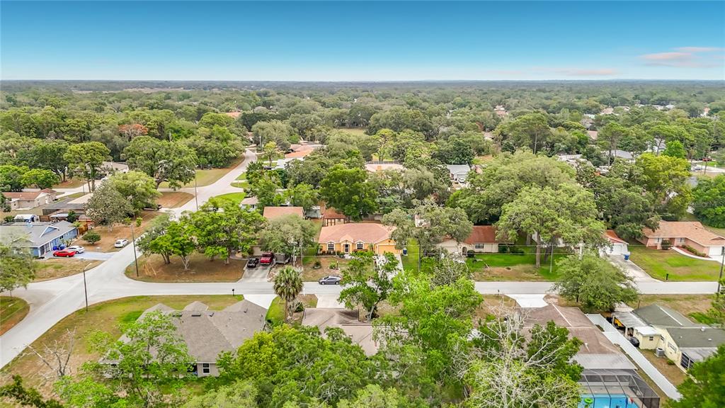 9020 Dorsey Street Spring Hill, FL 34608 - Photo 46 of 46