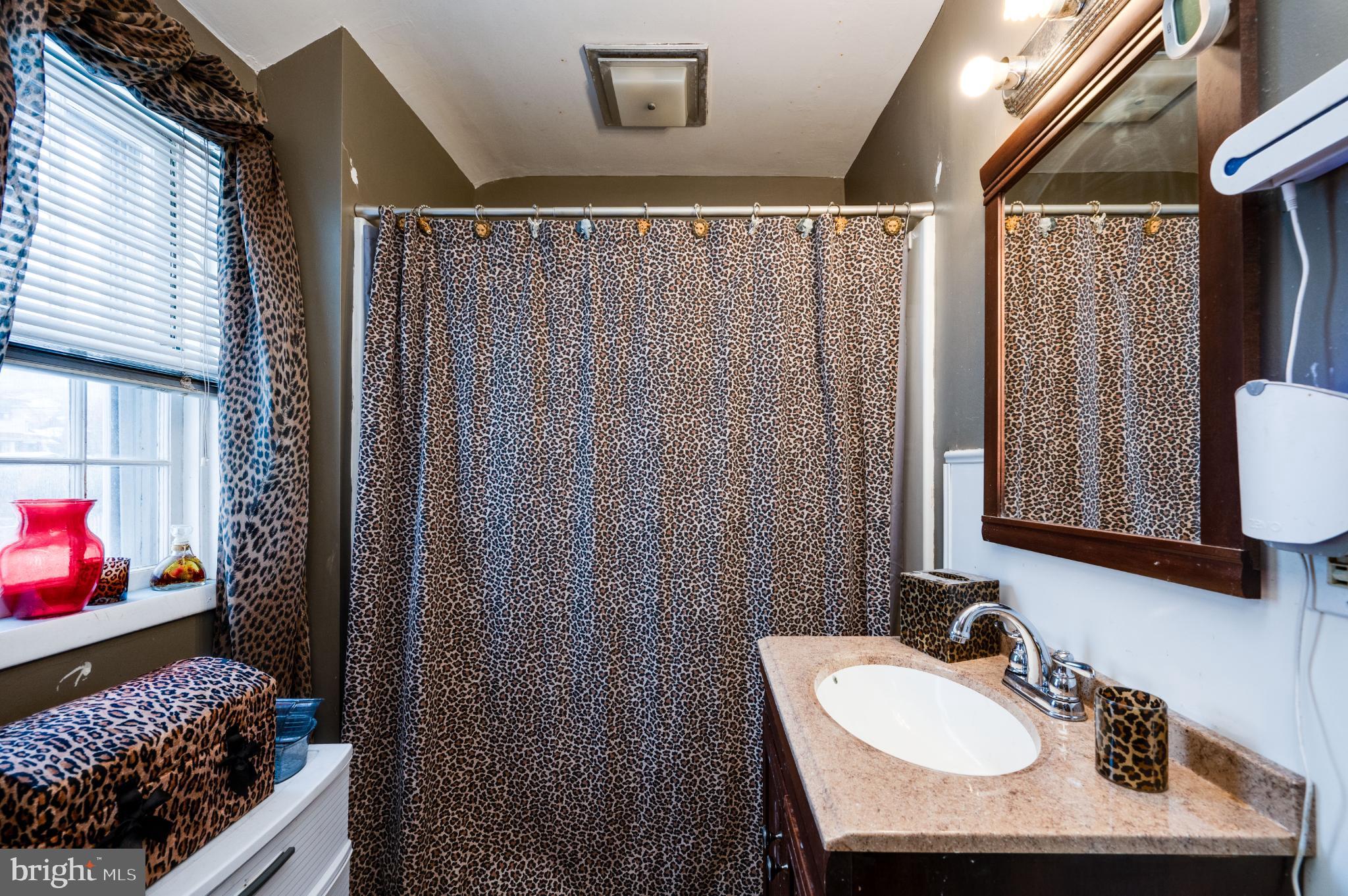 9 West 35th Street Reading, PA 19606 - Photo 42 of 52 a bathroom with a sink and a mirror