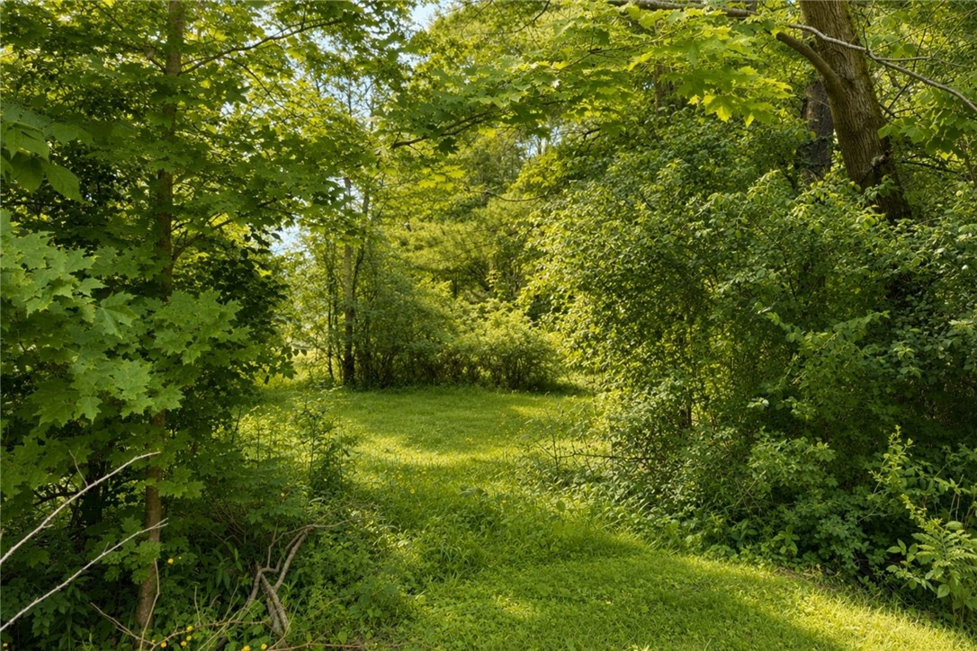 4022 Reed Road West Sparta, NY 14437 - Photo 25 of 35
