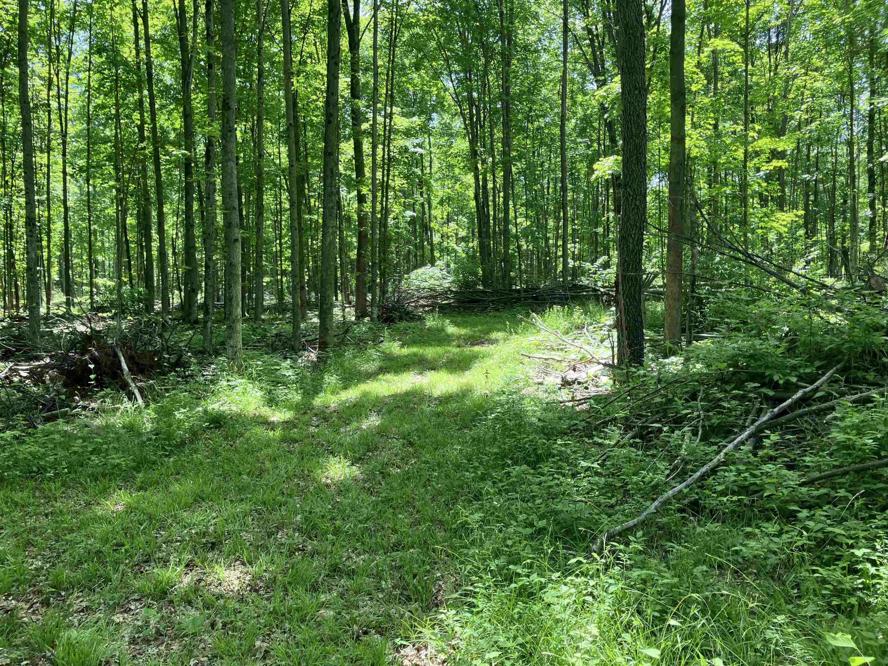 0 Cemetery Road Mancelona, MI 49659 - Photo 17 of 25