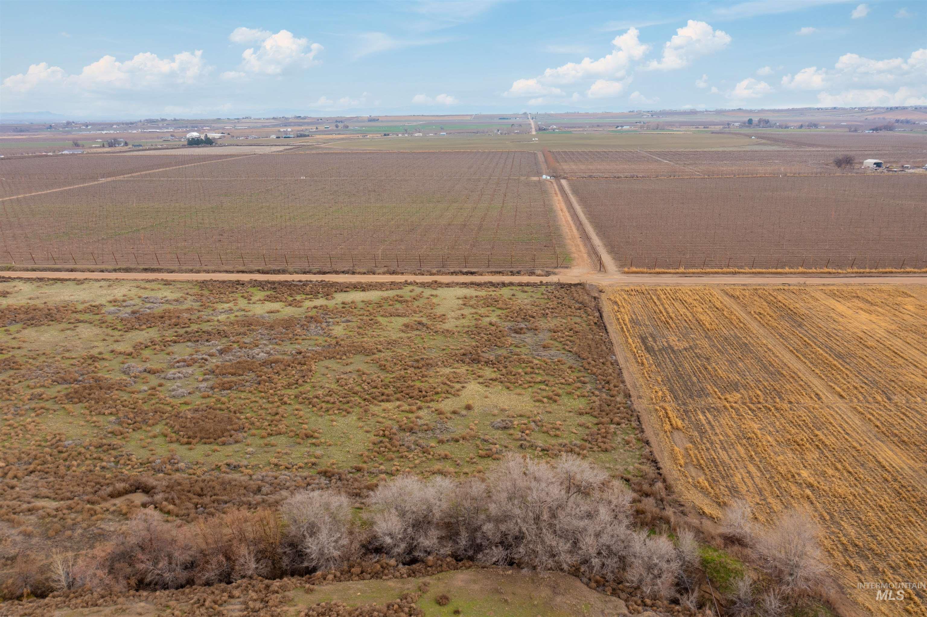 Tbd Monte Road Parma, ID 83660 - Photo 7 of 8 View of rural area featuring extensive farmland