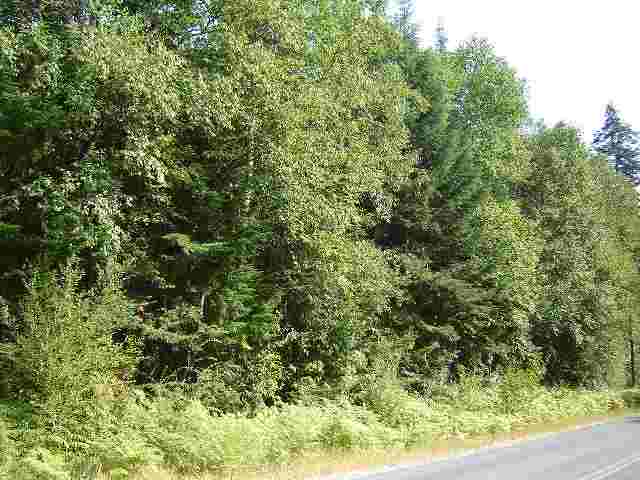 L-3 L-3 Sullivan Lake Road Ione, WA 99139 - Photo 1 of 2 Gallery Image 1