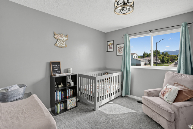 352 West 850 N Street Springville, UT 84663 - Photo 22 of 34 Bedroom 2